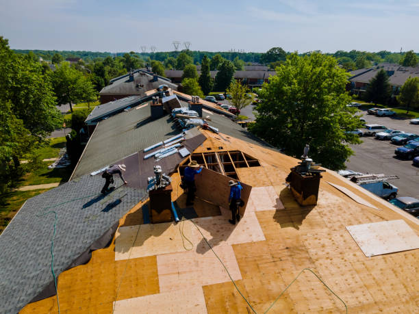 Quick and Trustworthy Emergency Roof Repair Services in Newark, CA